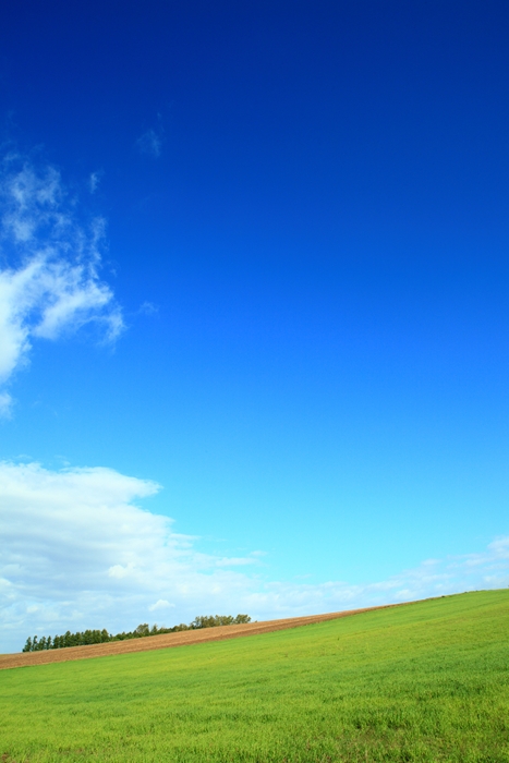 c0146510_133286.jpg