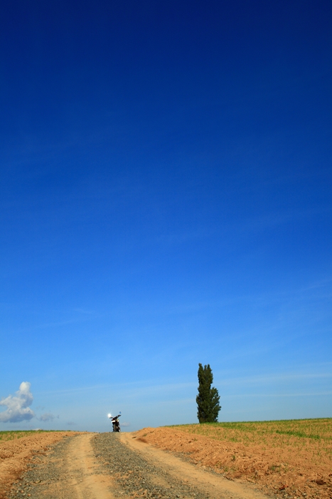 c0146510_13331098.jpg