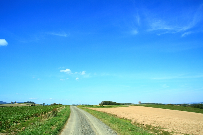c0146510_13333975.jpg