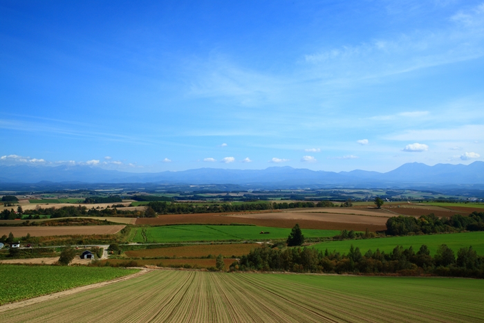 c0146510_13404767.jpg