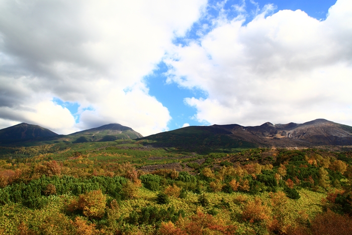 c0146510_13444925.jpg