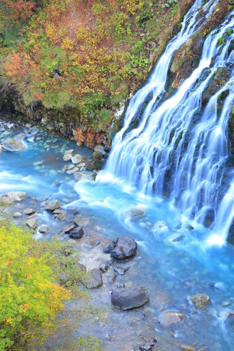 c0146510_13454199.jpg
