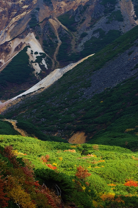 c0146510_13462468.jpg