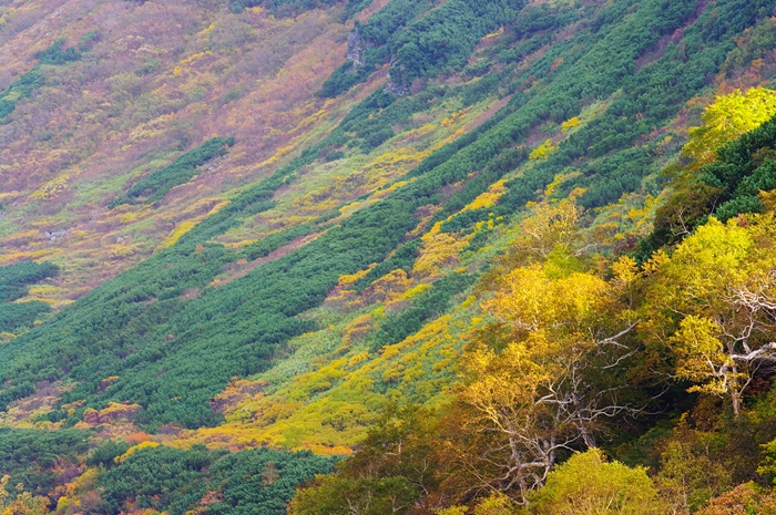 c0146510_1346697.jpg
