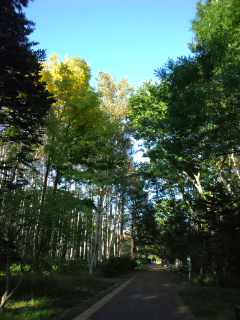 d0169613_20521671.jpg