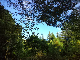 d0169613_20524717.jpg