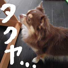 c0036617_17455428.jpg