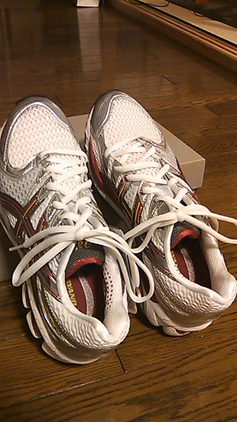 c0175027_1383848.jpg