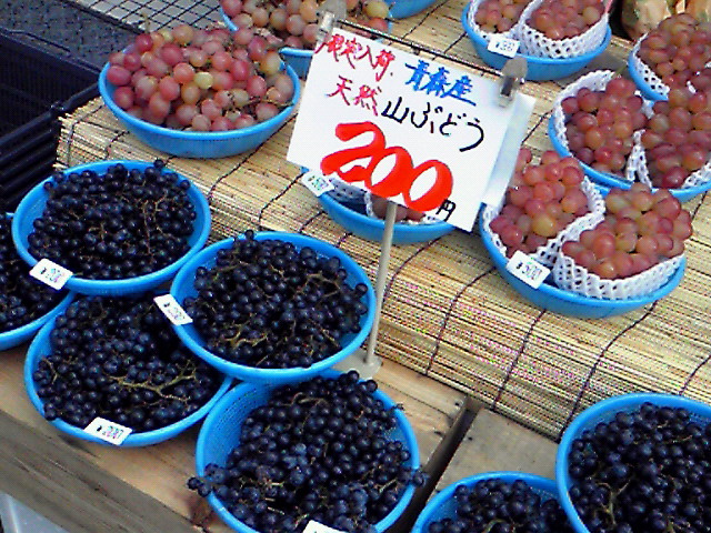 e0016828_8555240.jpg