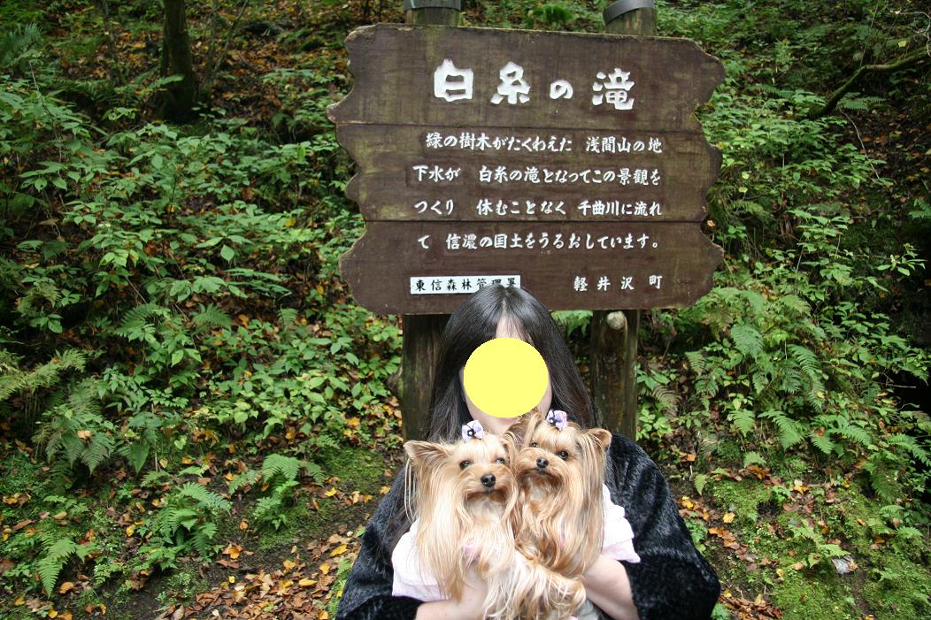 f0124830_321450.jpg