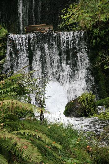 f0124830_331846.jpg