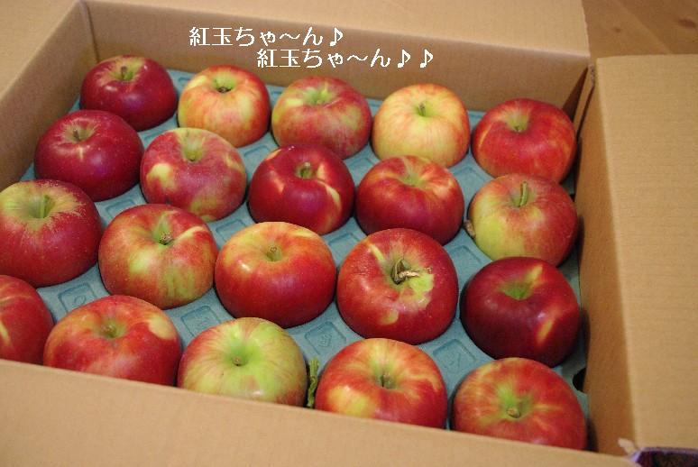 e0103831_13384623.jpg