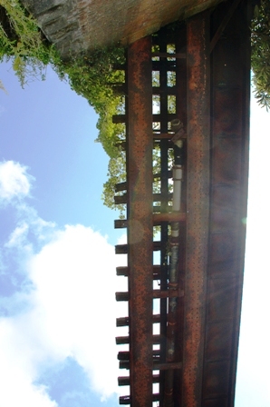 e0206031_19324678.jpg