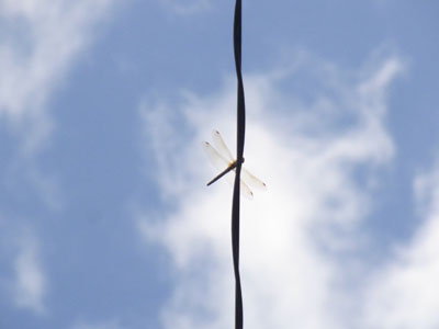 b0019140_13102647.jpg