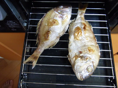 b0019140_131117100.jpg