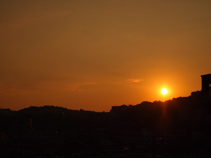 a0146442_7551972.jpg