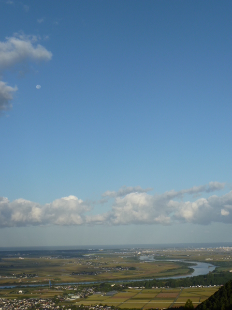 b0190242_16124532.jpg