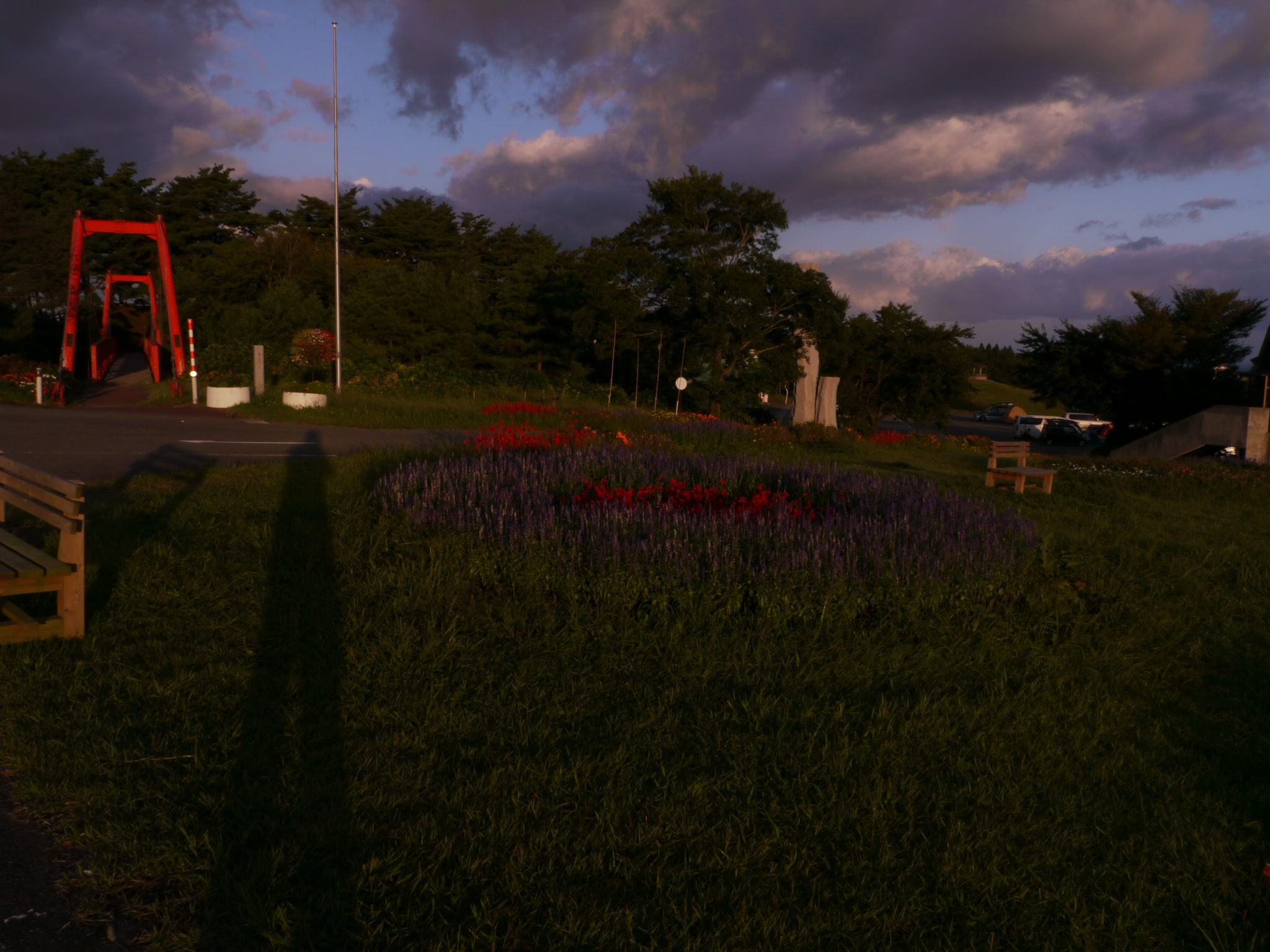 b0190242_16145220.jpg
