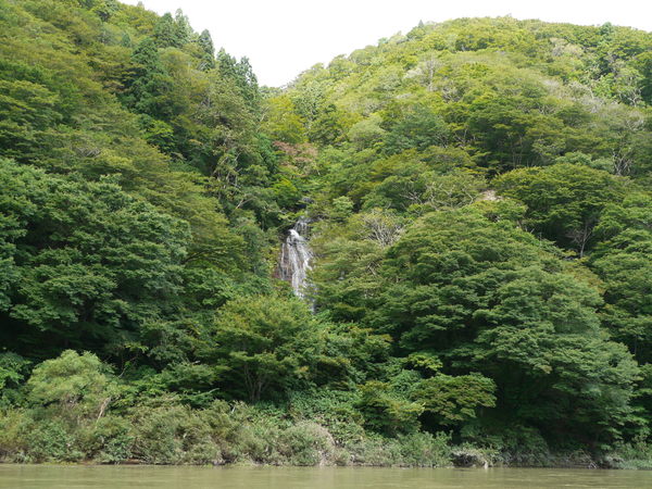 b0190242_16271853.jpg