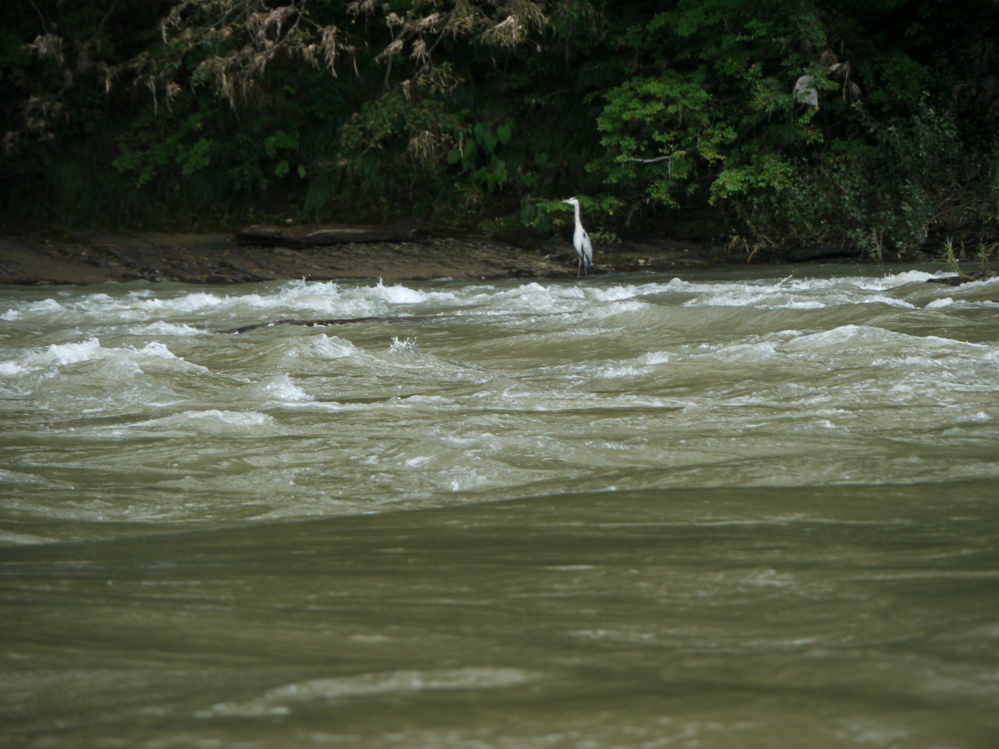 b0190242_1628262.jpg