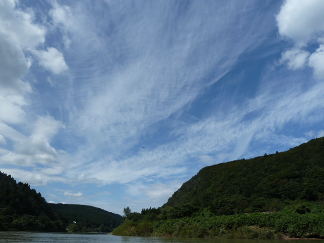 b0190242_1631492.jpg
