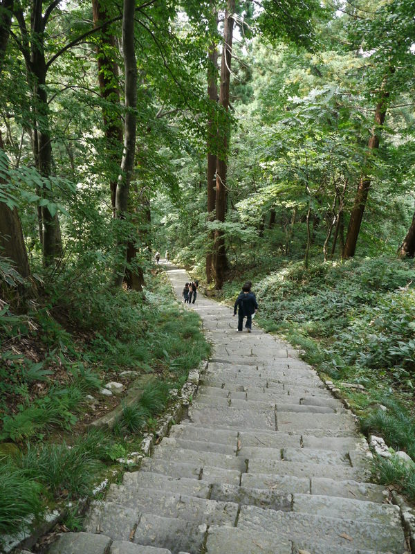 b0190242_16484725.jpg