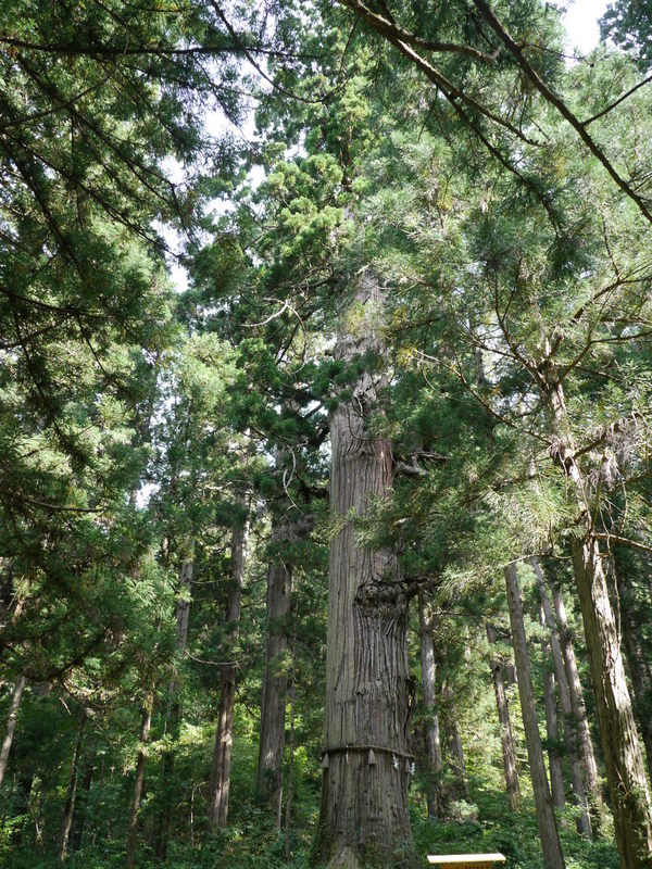 b0190242_16493835.jpg