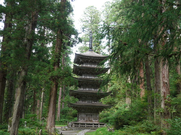b0190242_16504159.jpg