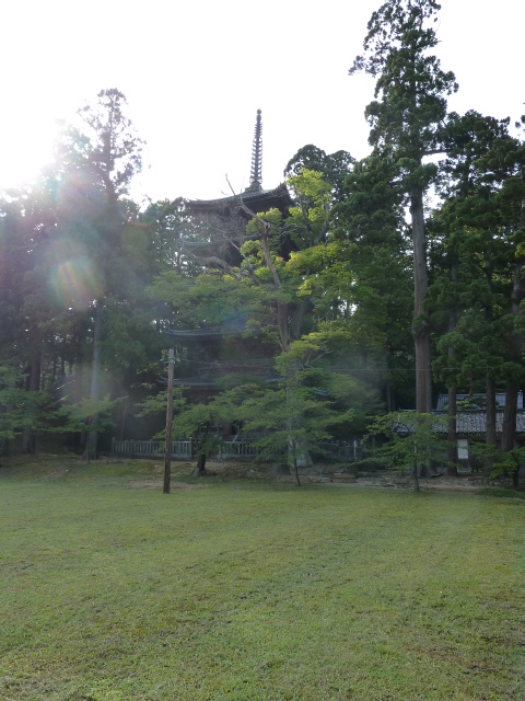 b0190242_1658189.jpg