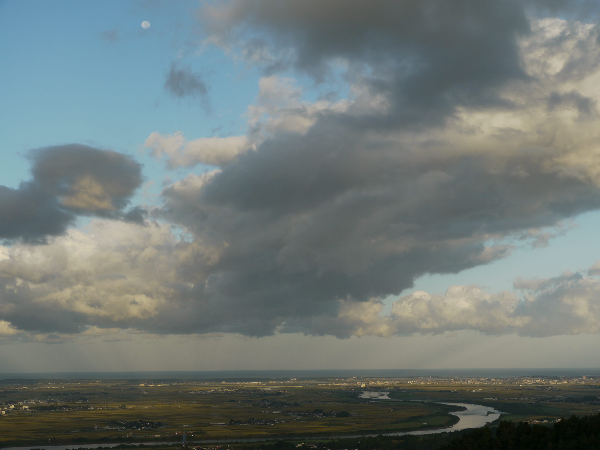 b0190242_17141379.jpg