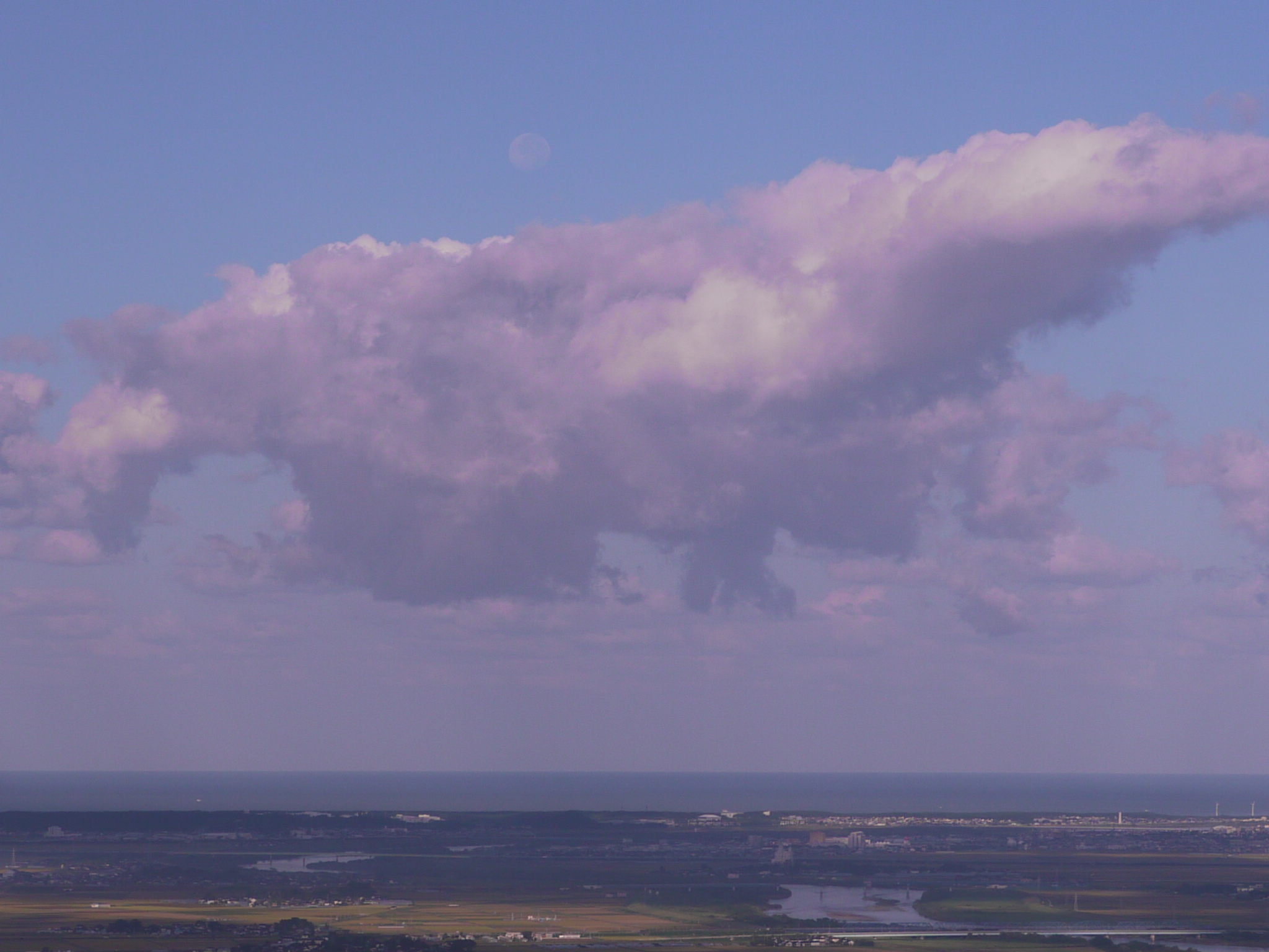 b0190242_1735769.jpg
