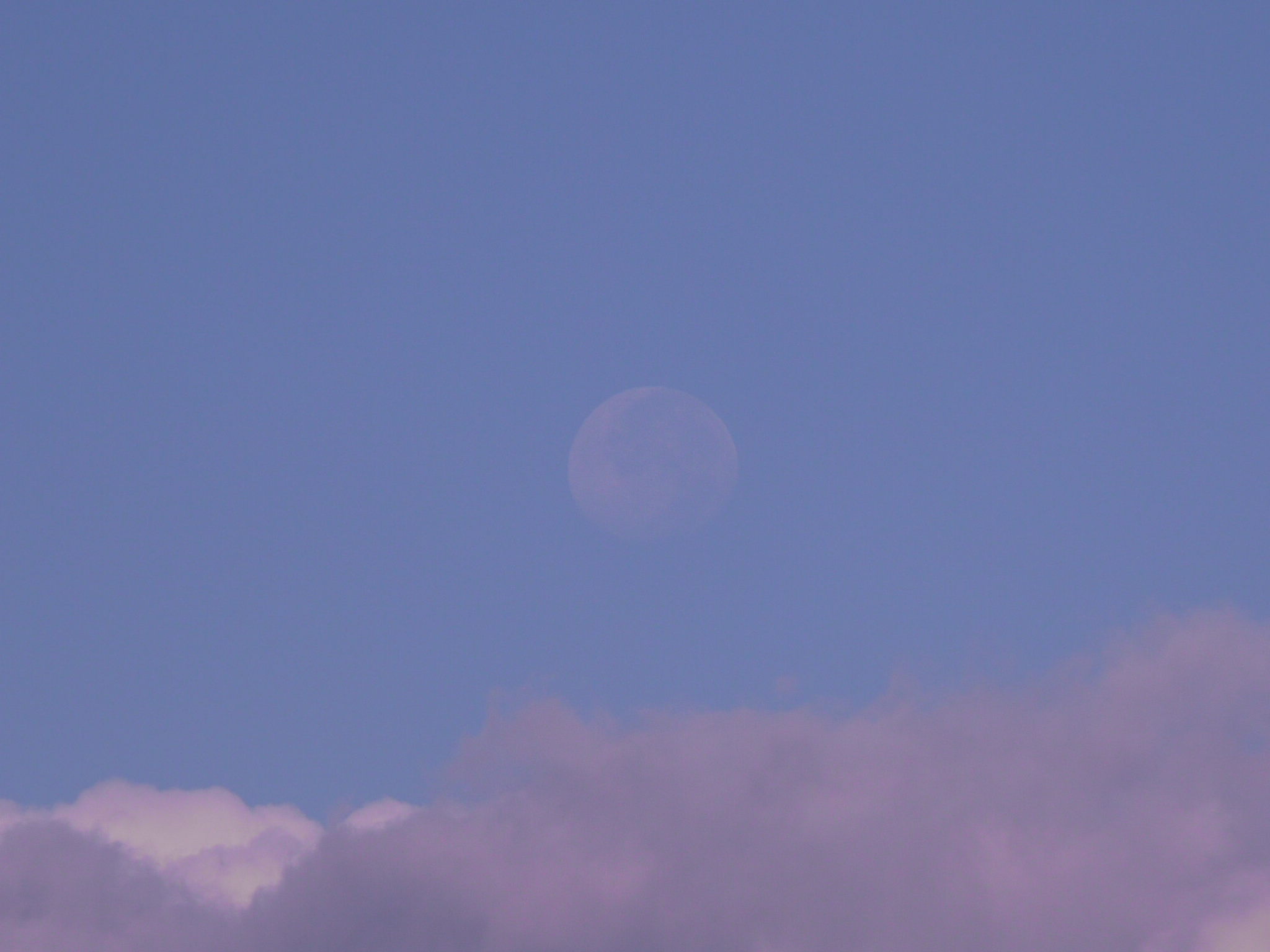 b0190242_1741011.jpg