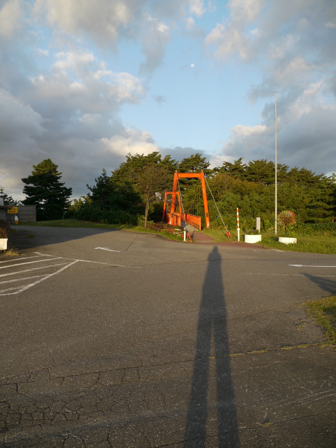 b0190242_1754231.jpg