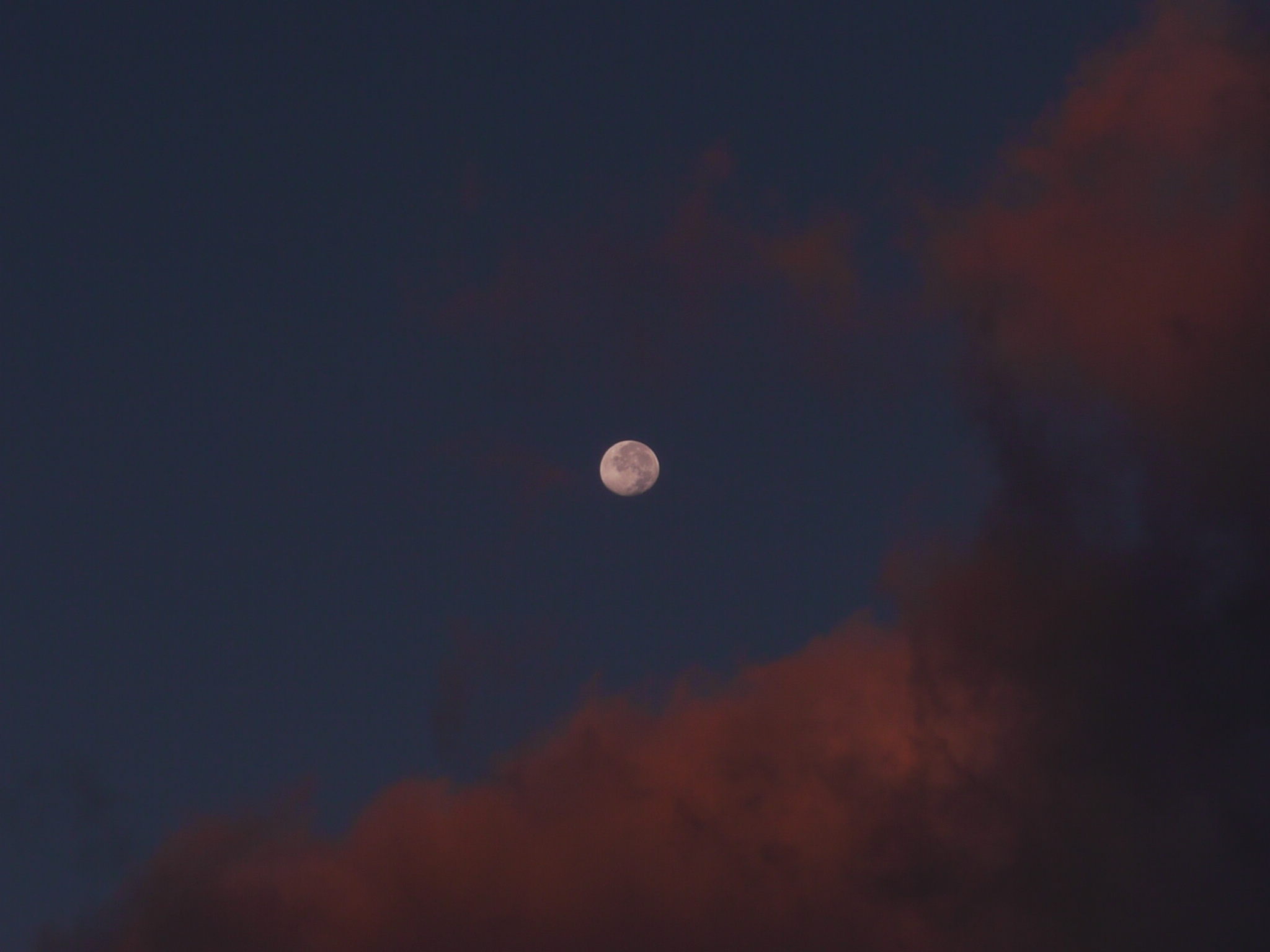 b0190242_176798.jpg