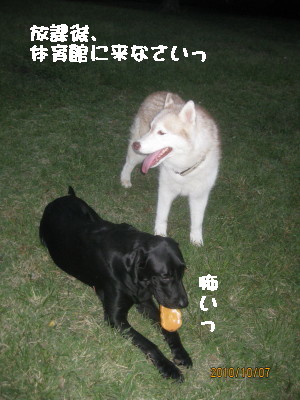 e0121548_20344489.jpg