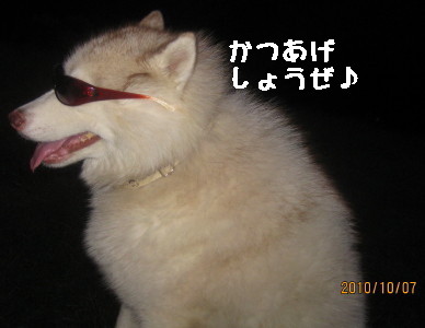 e0121548_20372179.jpg