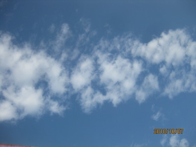 e0121548_2083794.jpg