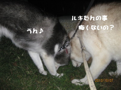 e0121548_2115219.jpg