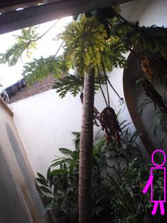 a0137054_13413928.jpg