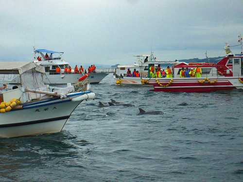 c0185657_154116.jpg