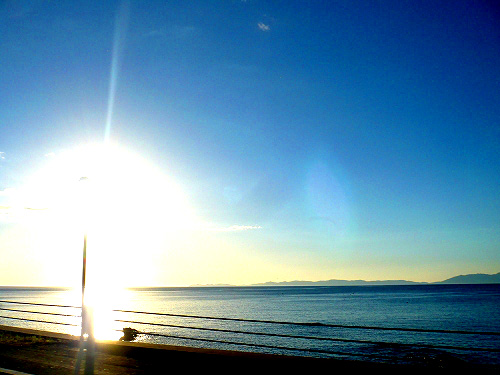 c0185657_15870.jpg