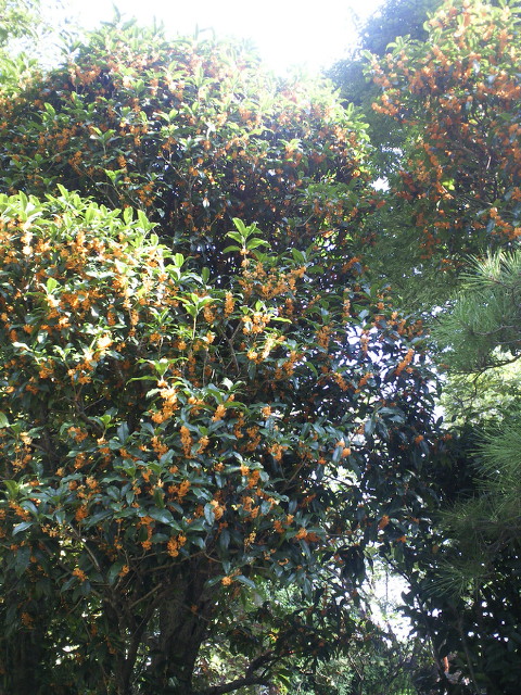 f0156158_922959.jpg