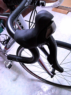 a0157160_22431590.jpg