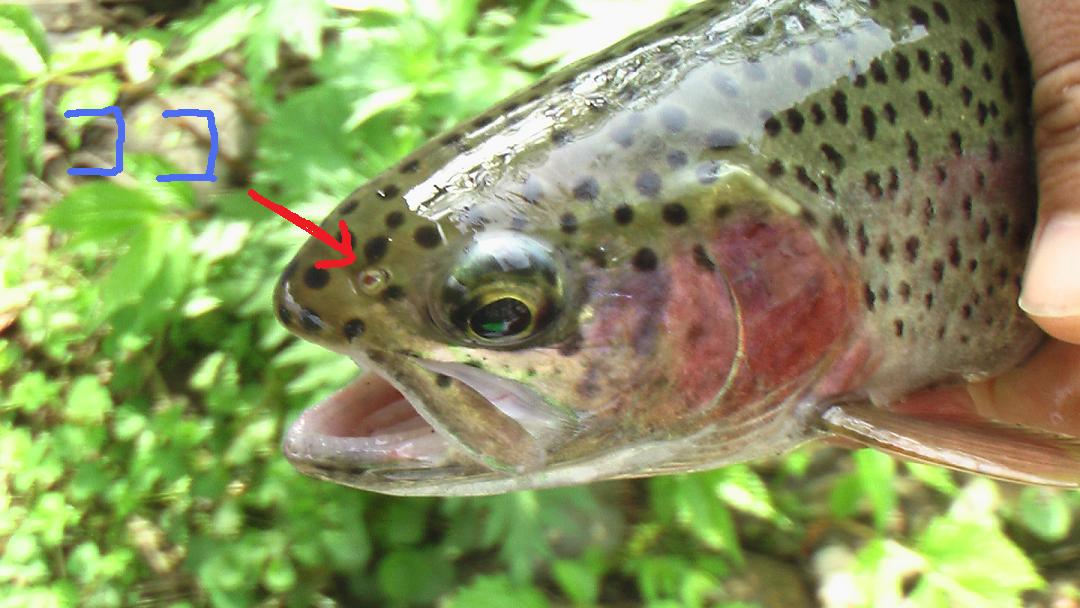 b0208961_17505110.jpg