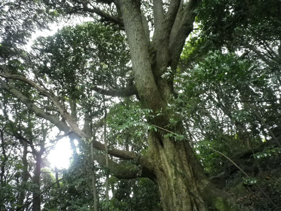 c0186264_38188.jpg