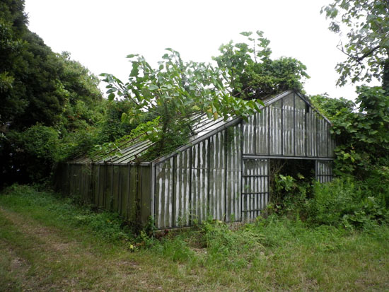 c0186264_38349.jpg