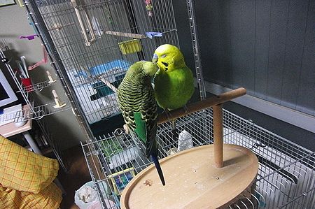 f0196665_002242.jpg