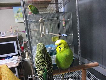 f0196665_022683.jpg