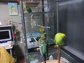 f0196665_041415.jpg