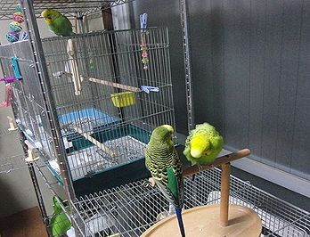 f0196665_06214.jpg